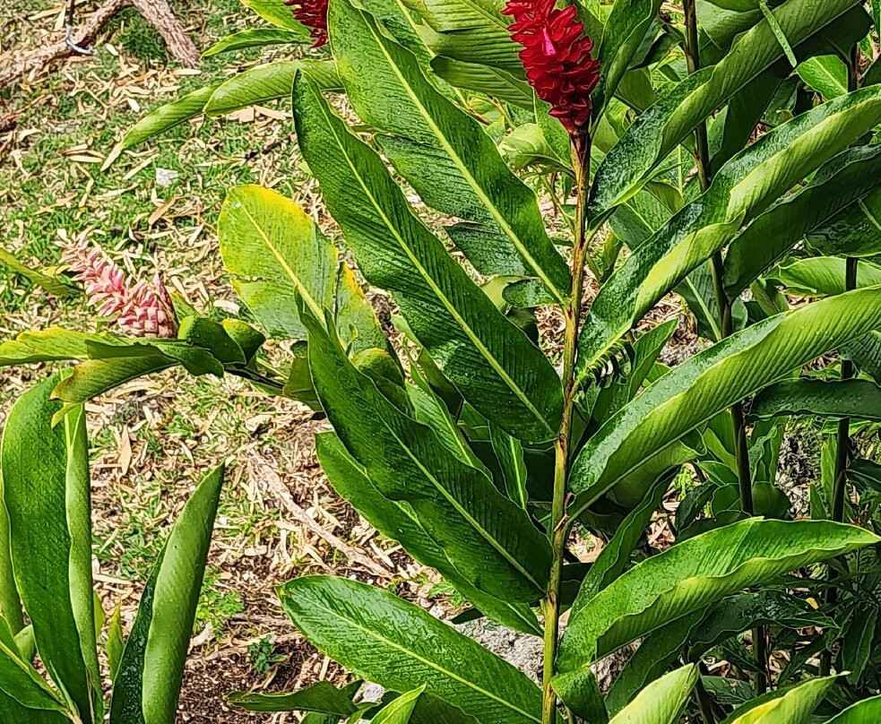 Earthworks Pottery-Saint Thomas Parish必去景点