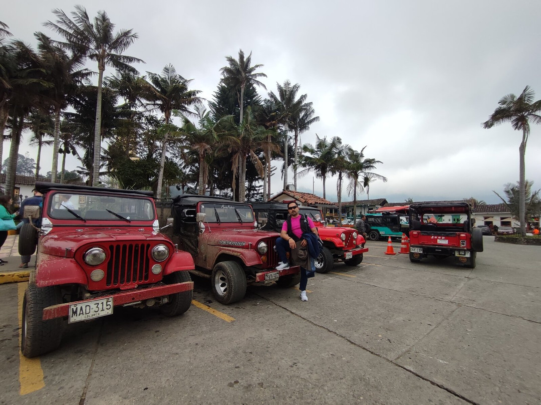 Bosques de Cocora-萨伦托必去景点