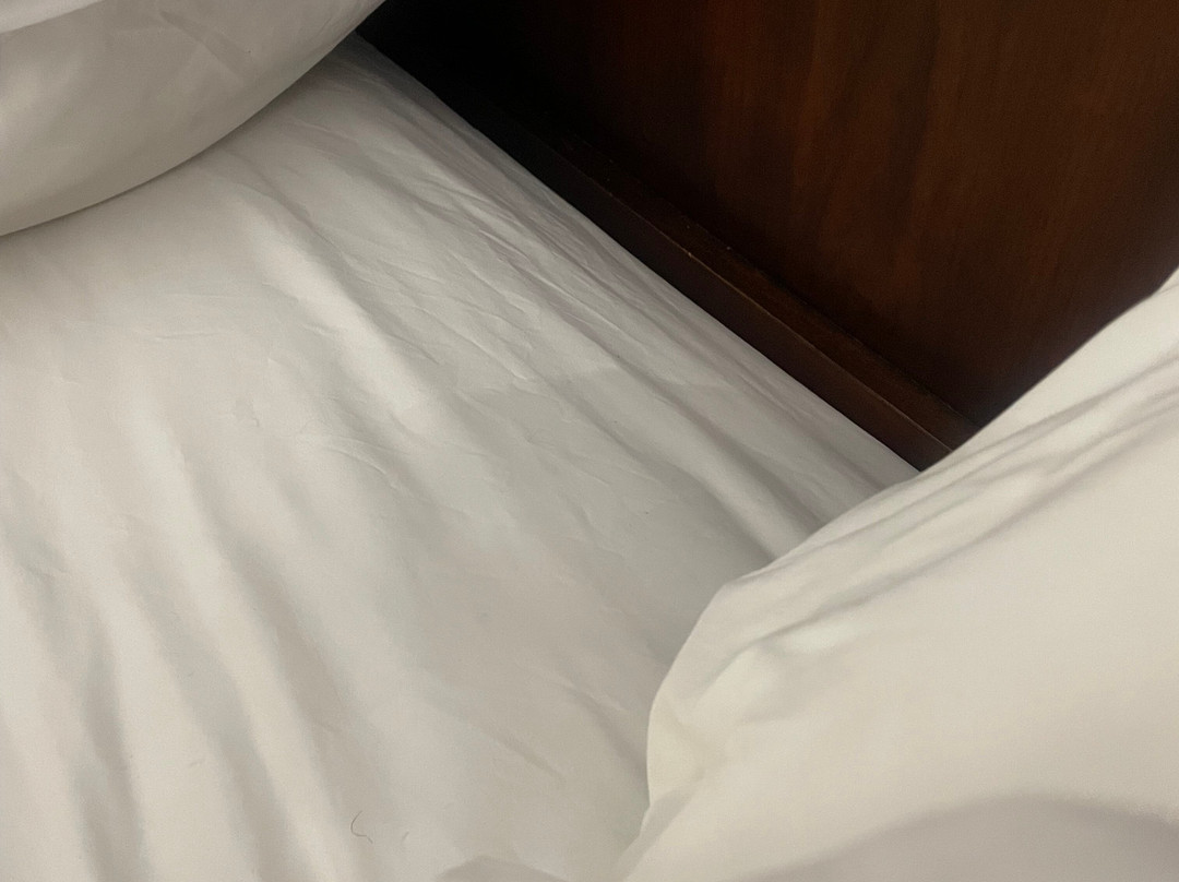 Comfort Inn & Suites主图