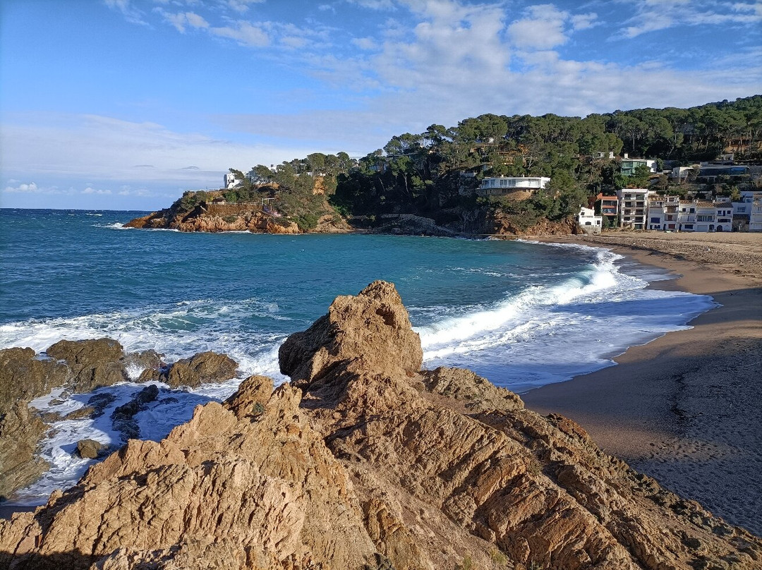 Playa Sa Riera景点图片