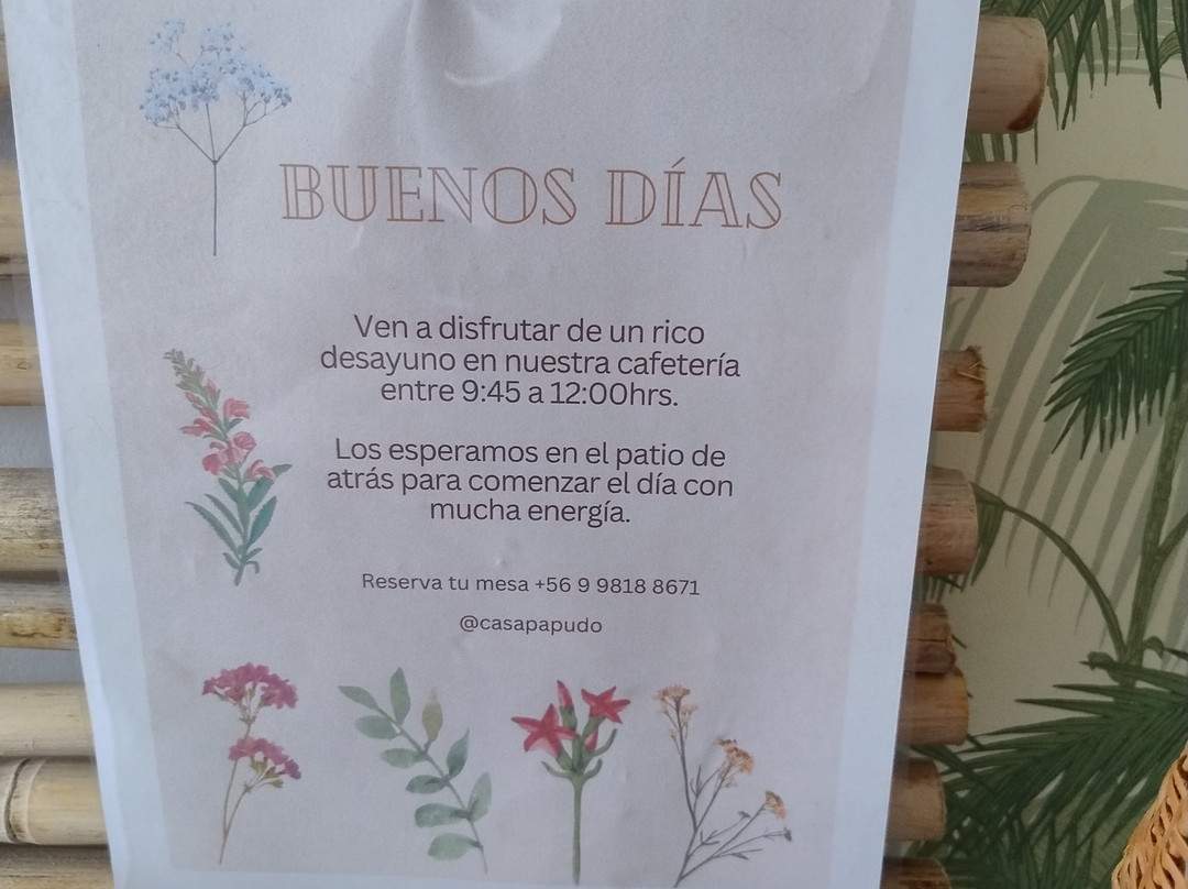 Casapapudo Boutique Hotel主图