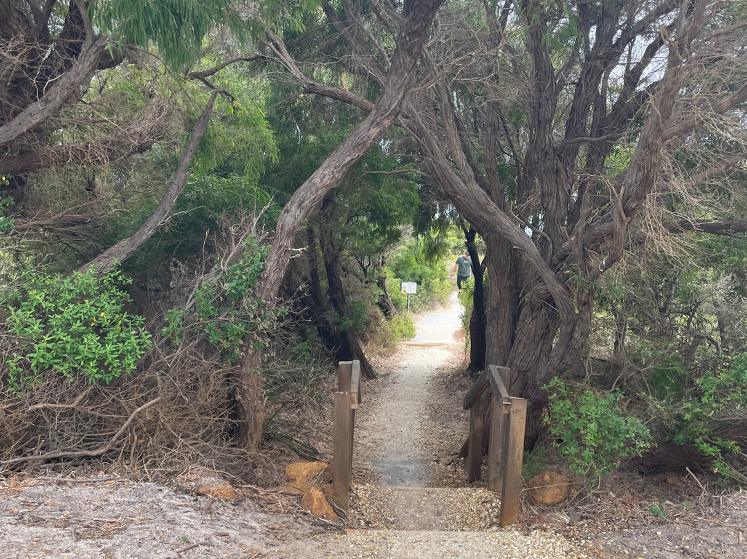 Misery Beach-奥尔巴尼必去景点