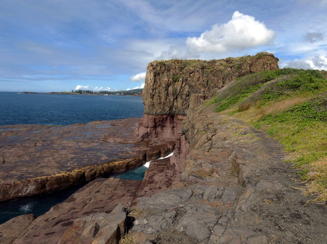 Bombo Headland景点图片