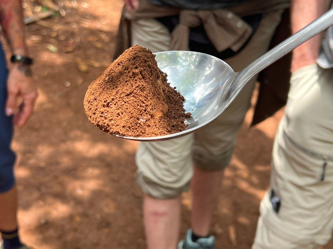 Kilimanjaro Cultural Experience-乞力马扎罗山国家公园必去景点