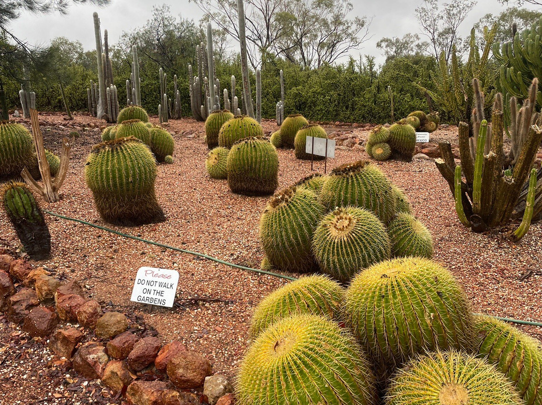 Bevans Black Opal & Cactus Nursery-Lightning Ridge必去景点