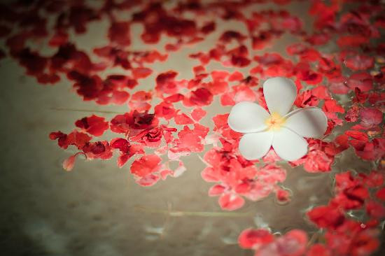 玛提斯别墅主图