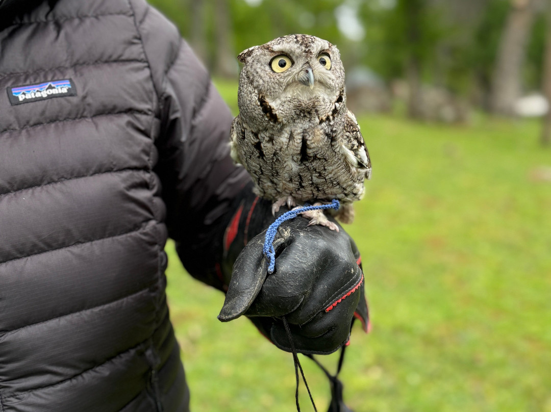 West Coast Falconry-Marysville必去景点