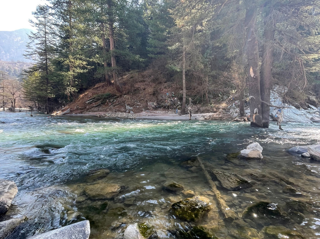 Negi Nest Kasol主图