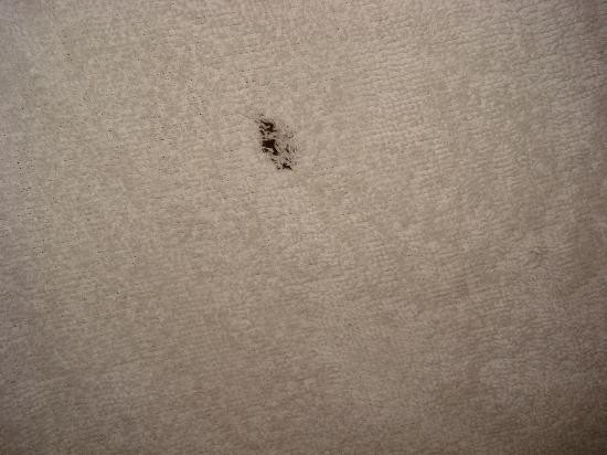 Hotel Narodny Dom主图