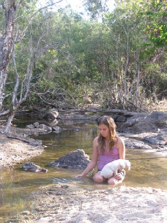 Coen Guesthouse主图