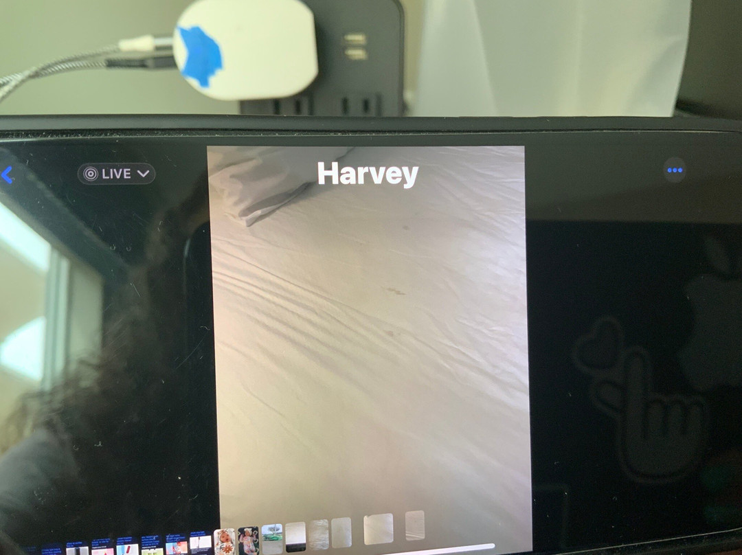 TownePlace Suites by Marriott New Orleans Harvey/West Bank主图