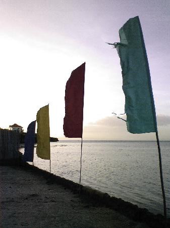 噢蔓景观度假村主图