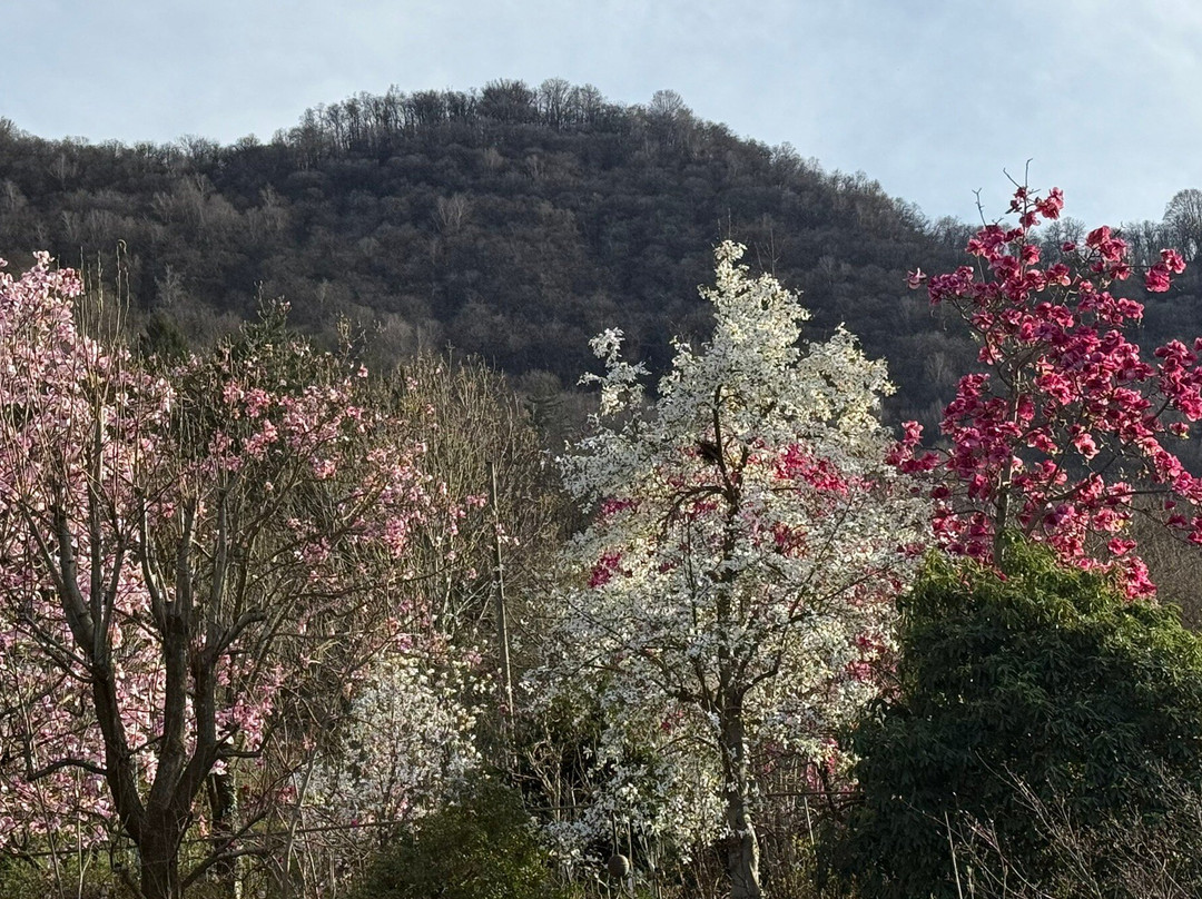 Parco Botanico del Gambaragno-San Nazzaro必去景点
