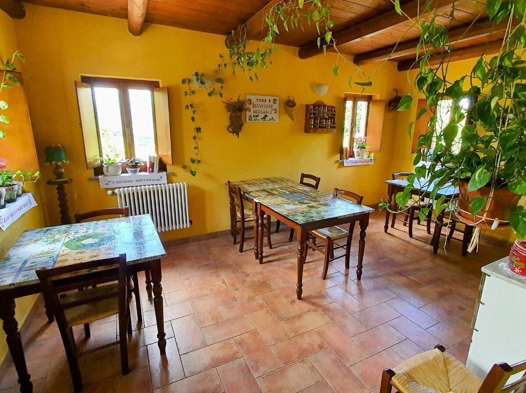 Azienda Agrituristica Risveglio Naturale主图