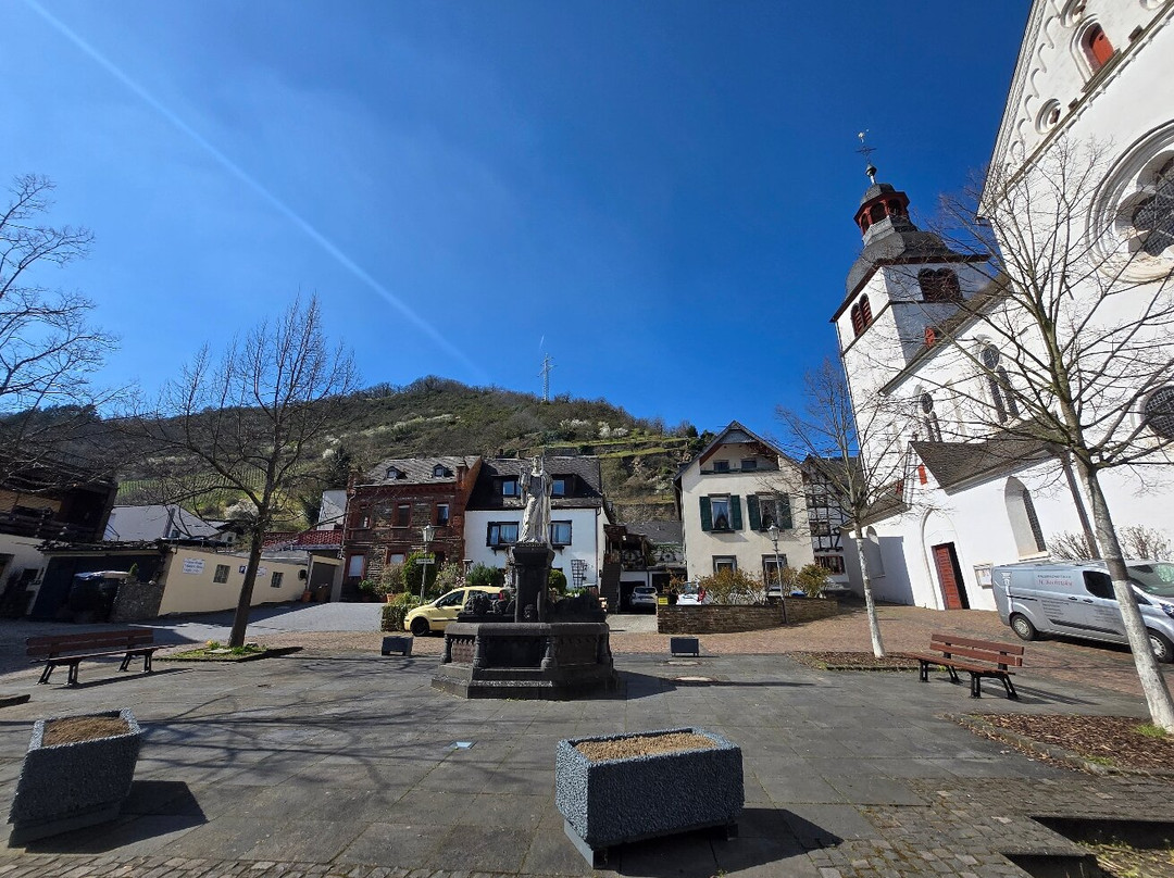 Schloß-hotel Petry主图