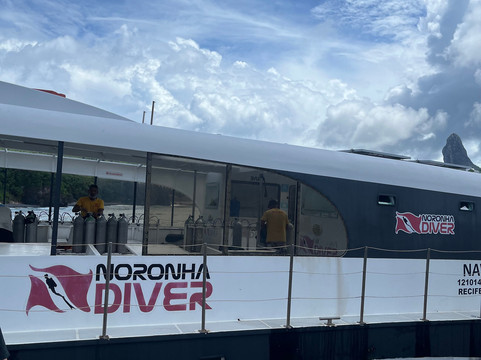 Noronha Diver-费尔南多-迪诺罗尼亚群岛必去景点