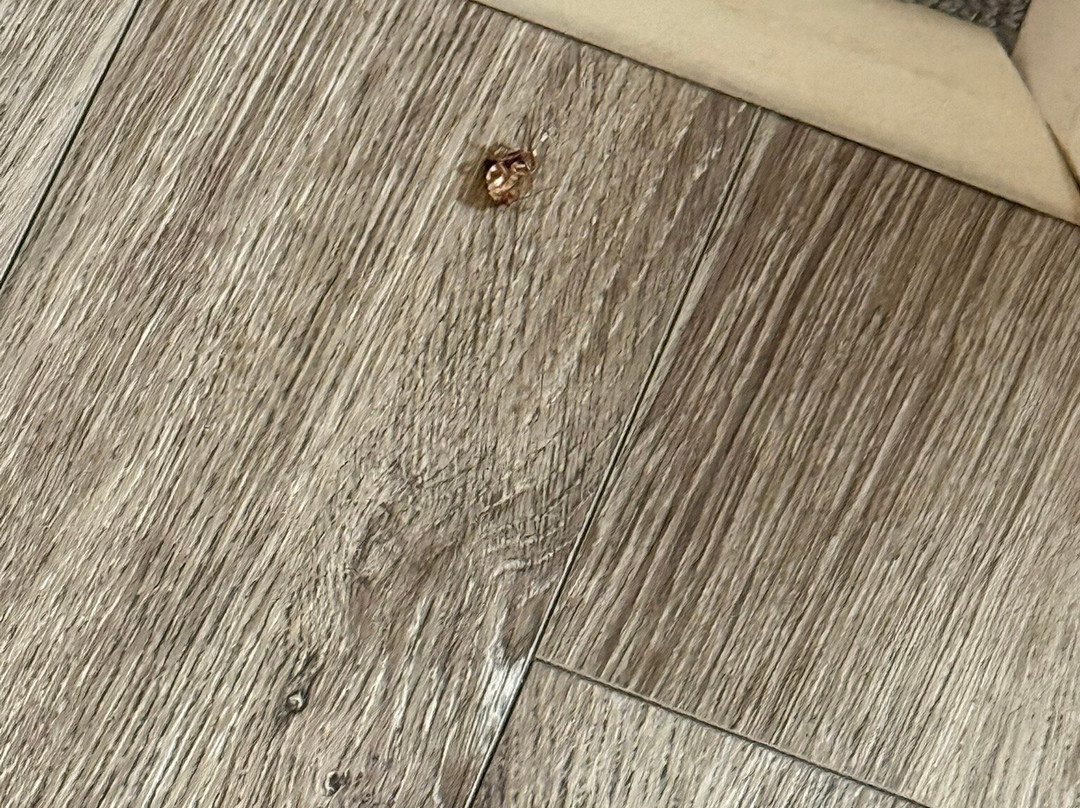 Best Western Plus Riata主图