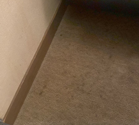 Hotel Civic Inn Sayama