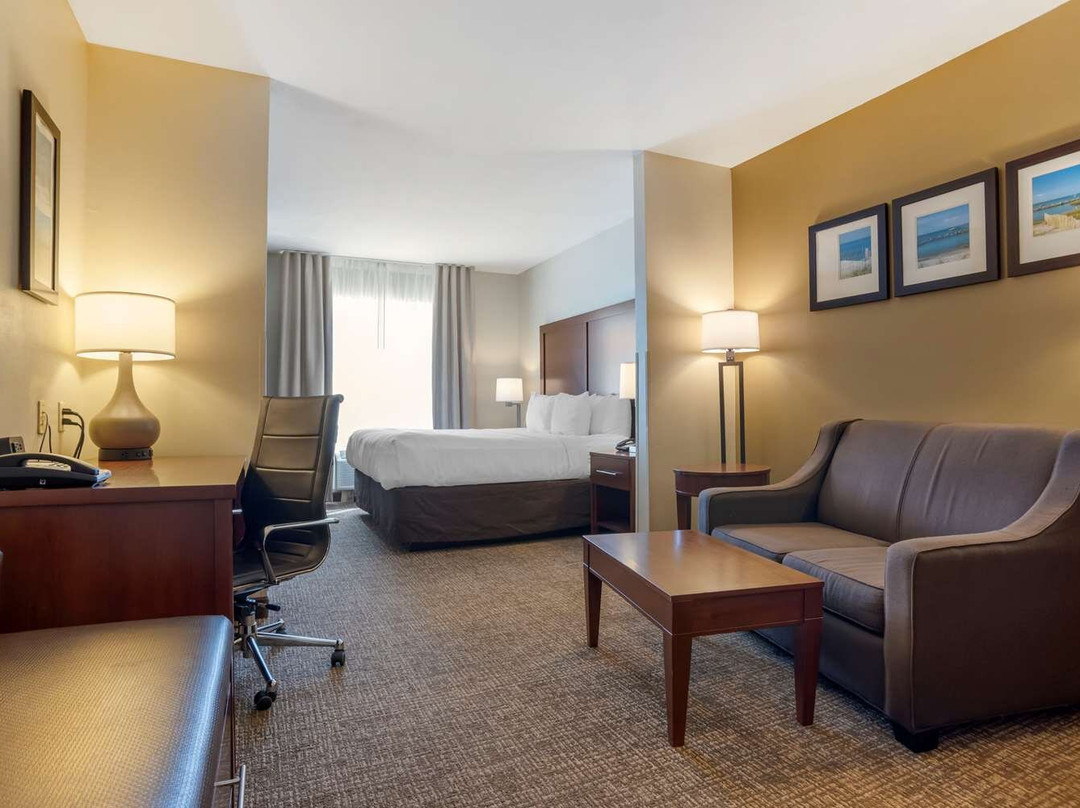 弗利酒店住宿-Comfort Suites Foley