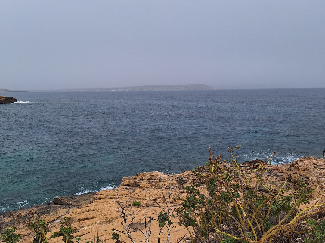 Islands Tec Dive-Marsalforn必去景点