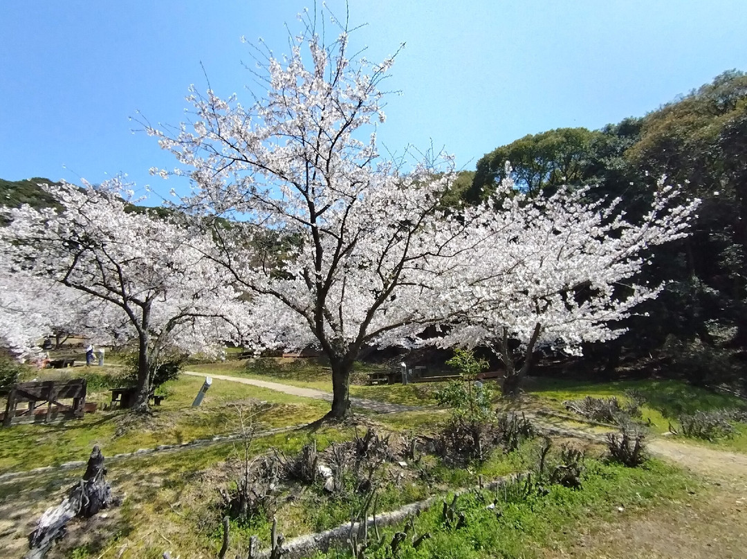 Abuto Kannon (Bandai-ji Temple Kannondo)-福山市必去景点