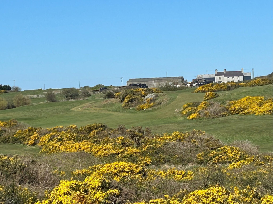Bull Bay Golf Club
