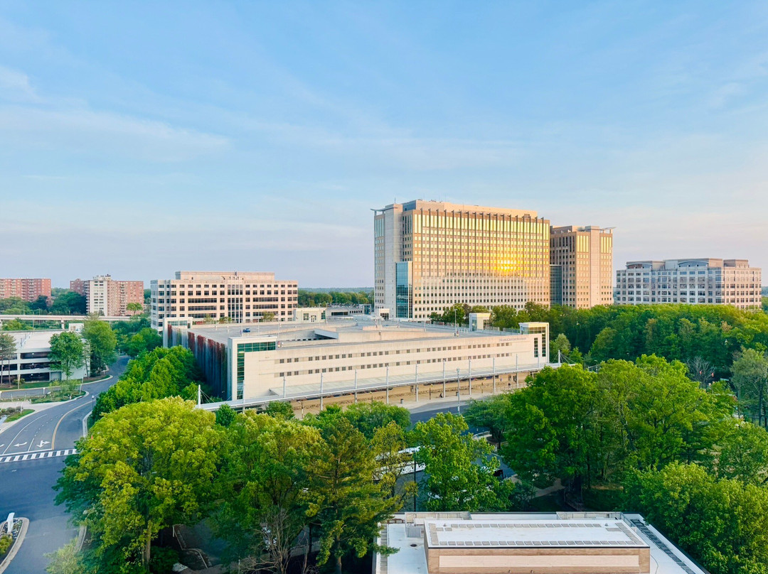 亚历山大马克中心希尔顿酒店主图