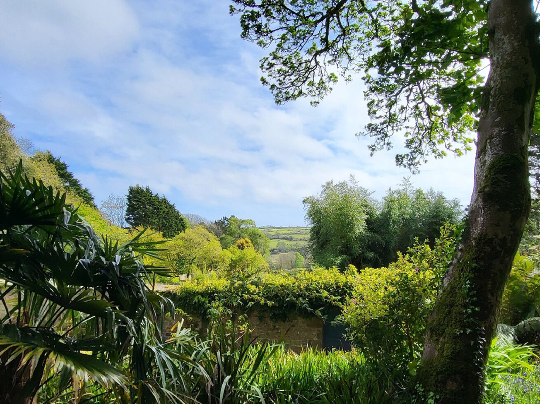 Trewidden Garden-Newlyn必去景点