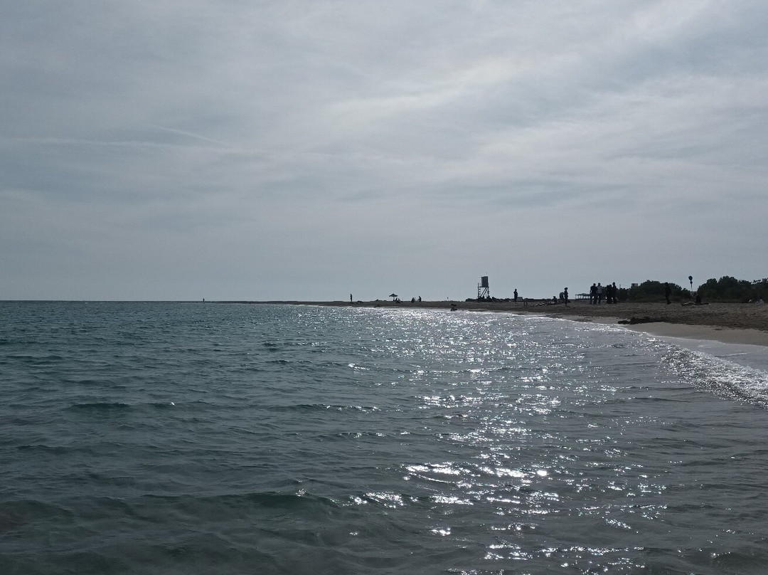 Frangokastello Beach景点图片