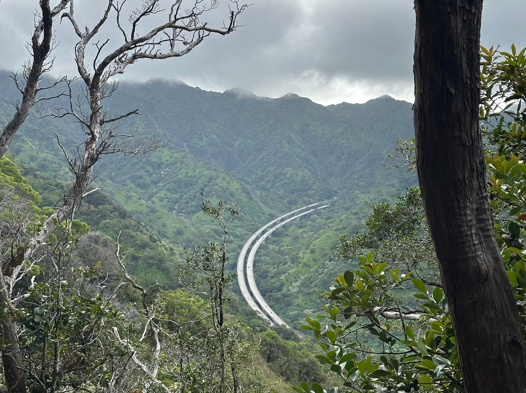 Aiea Loop Trail-阿伊亚必去景点