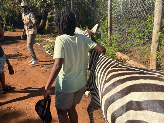 Saddlebird Adventures - Travel And Tours-蒙巴萨必去景点