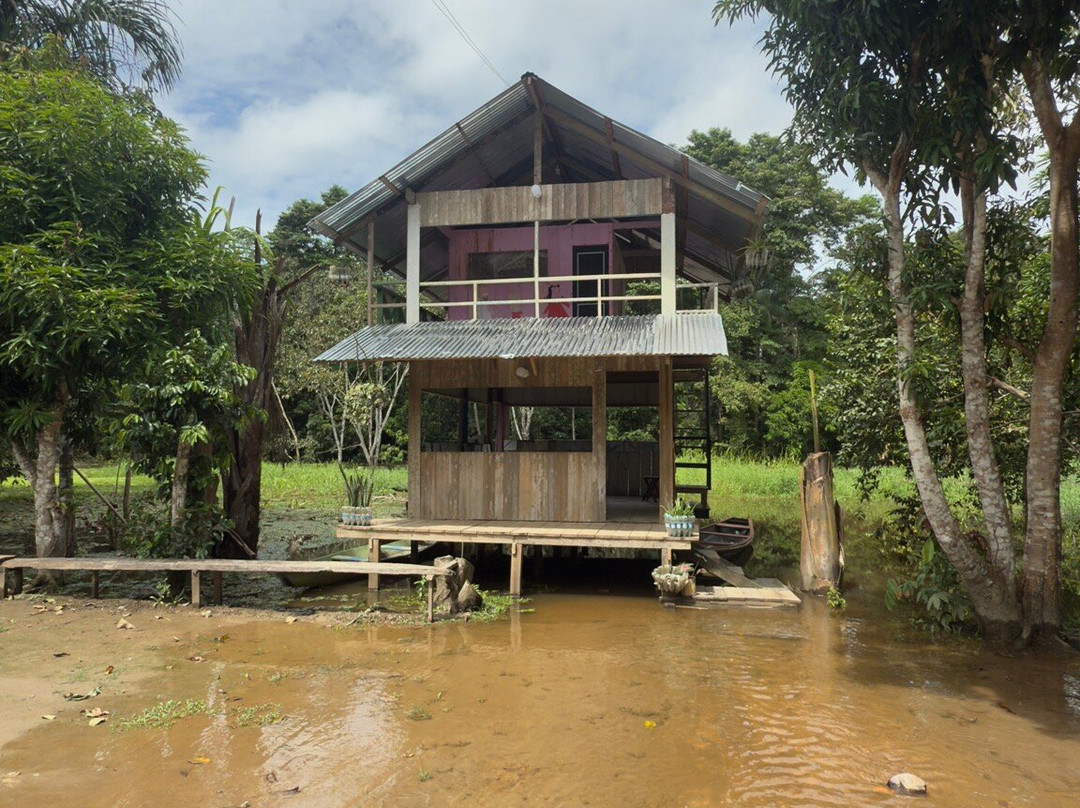 Amazonas Jungle Tours Operator景点图片