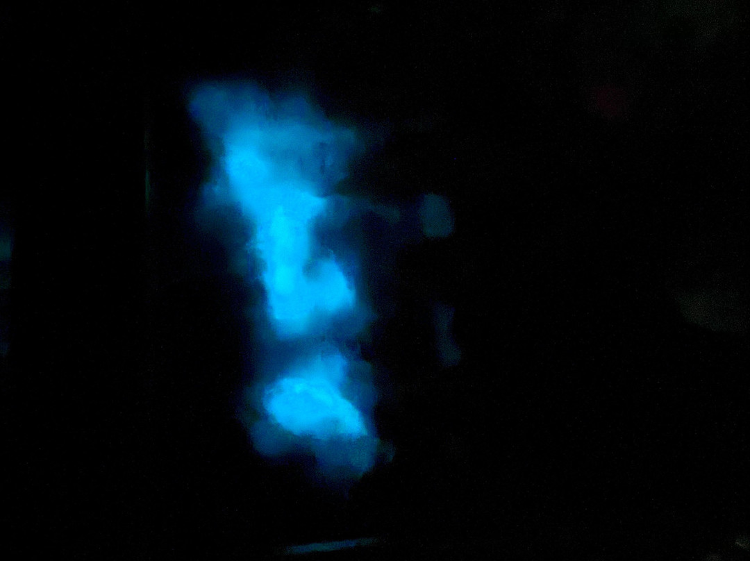 Cayman Kayaks-Rum Point必去景点