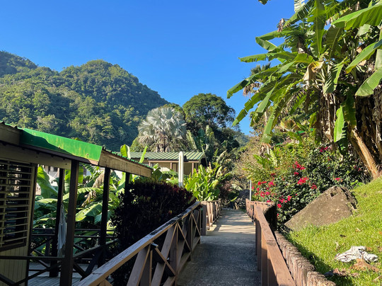 Santosa Yoga-圣胡安必去景点