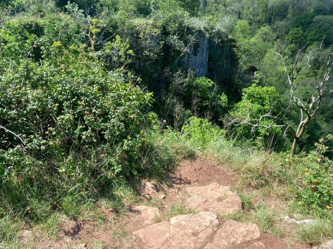 Ebbor Gorge-韦尔斯必去景点