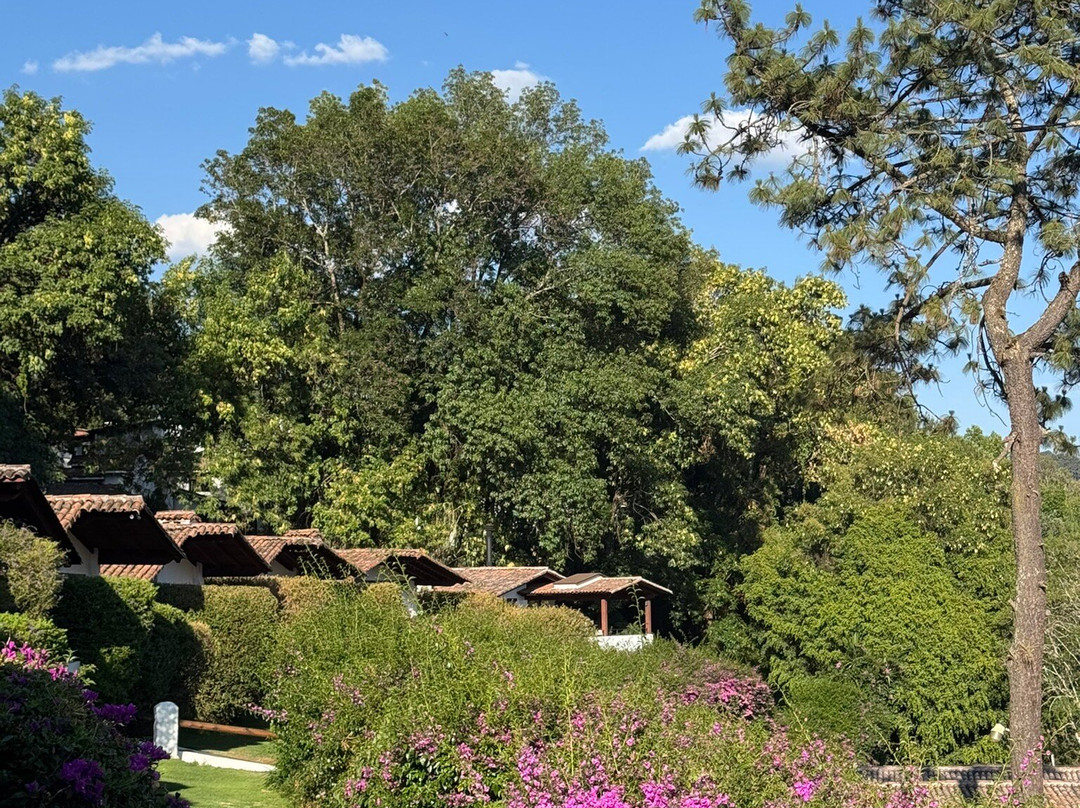 Hotel Avandaro主图