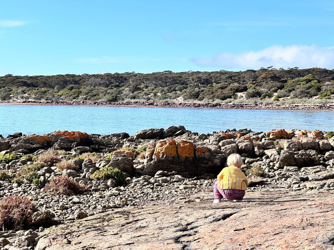 Lincoln National Park-Port Lincoln必去景点