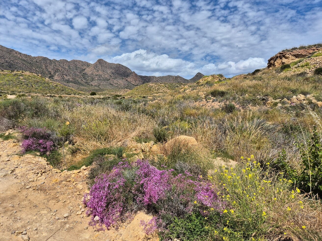 Ecoadventure Bolnuevo-Bolnuevo必去景点