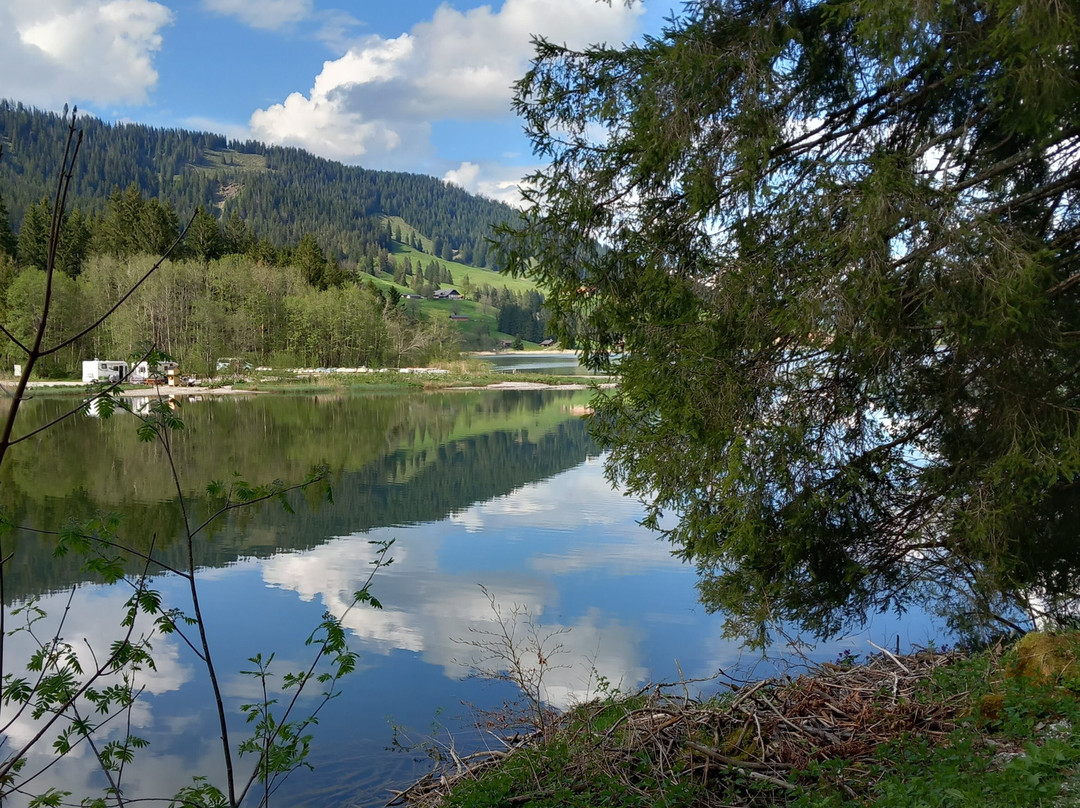 Schwarzsee Lac Noir-施瓦茨塞湖必去景点