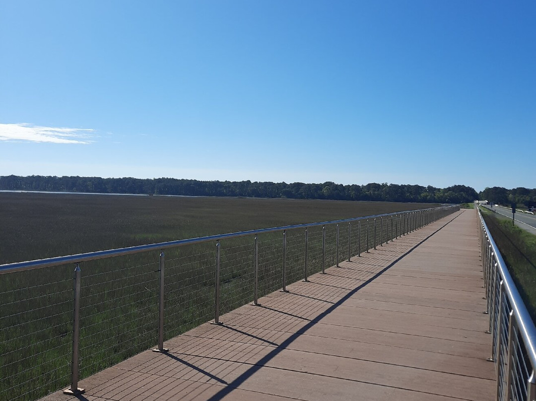 Magical Mystery Bike Tours, LLC-罗阿诺克必去景点