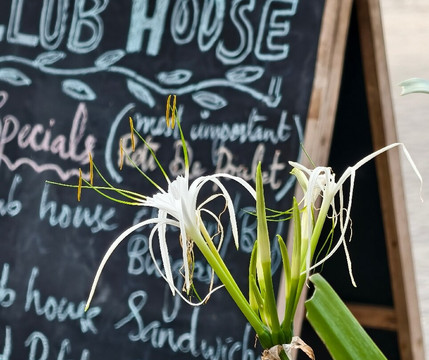 Club House Restaurant