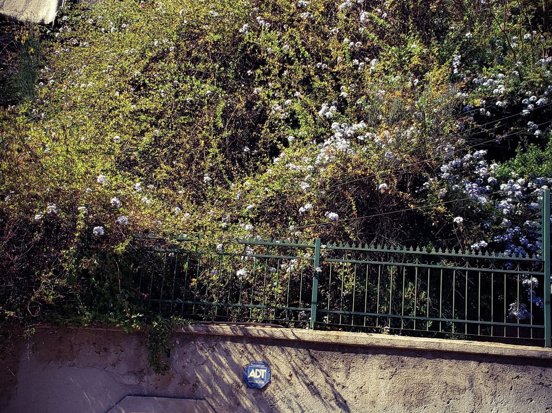 Vina del Mar Casino-比尼亚德尔马必去景点