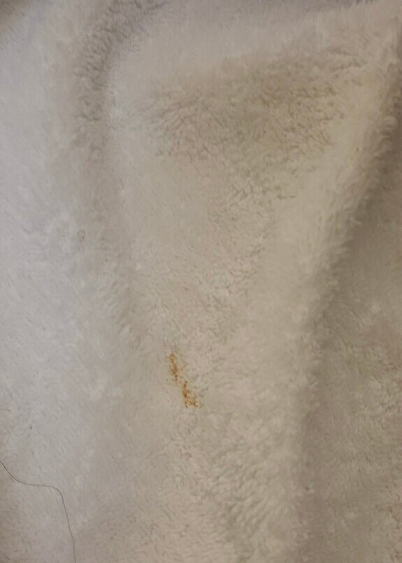 Wingate by Wyndham Springfield主图