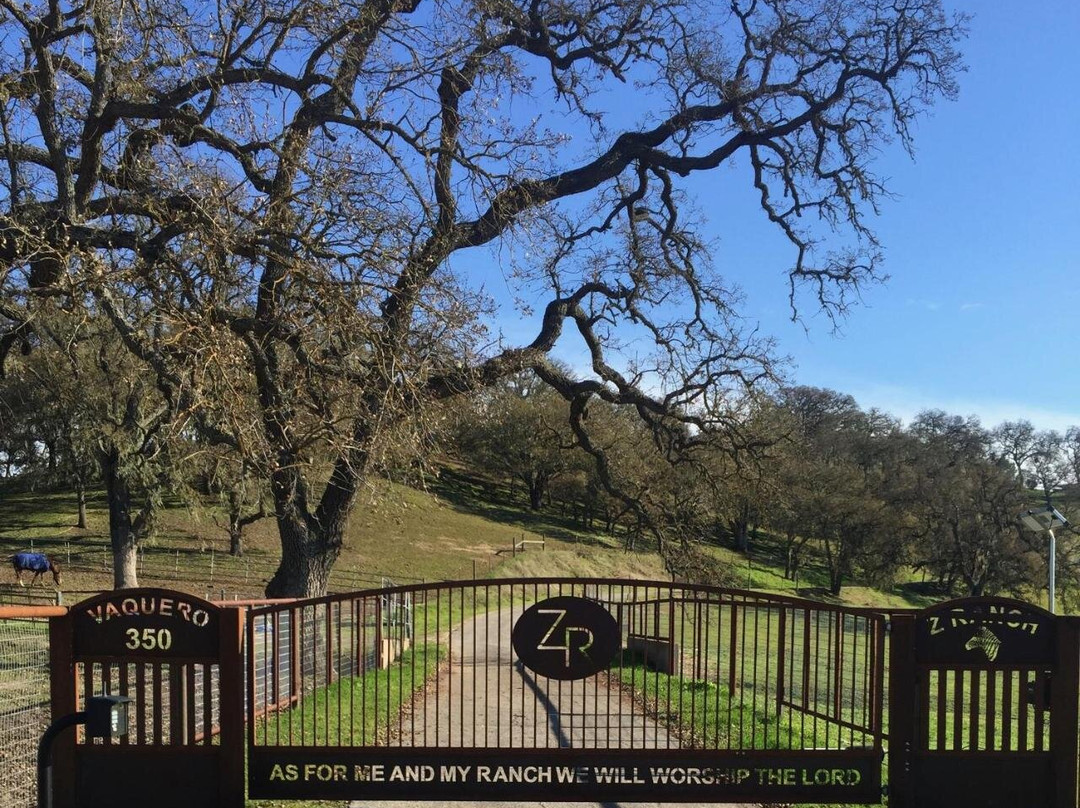 Z Ranch