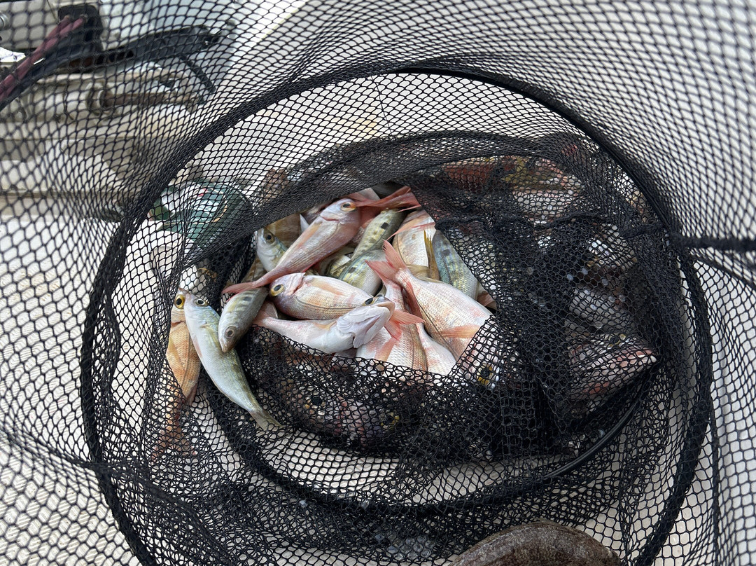 Rethymno Fishing Trip The Lucky Hook景点图片