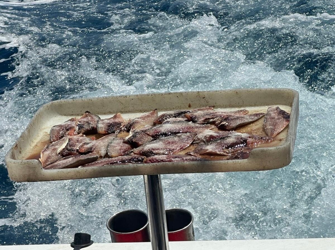 Malolo Fisher Sports-纳迪市必去景点