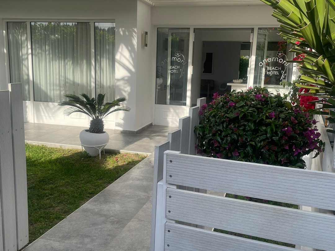 Anemoni Beach Hotel主图