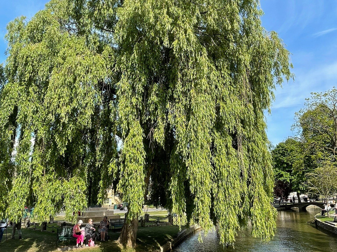 Bourton on the Water景点图片