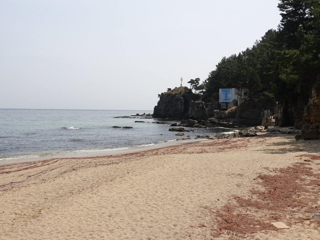 Gamchu Beach-东海市必去景点