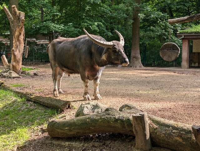 Tierpark Cottbus-Cottbus必去景点